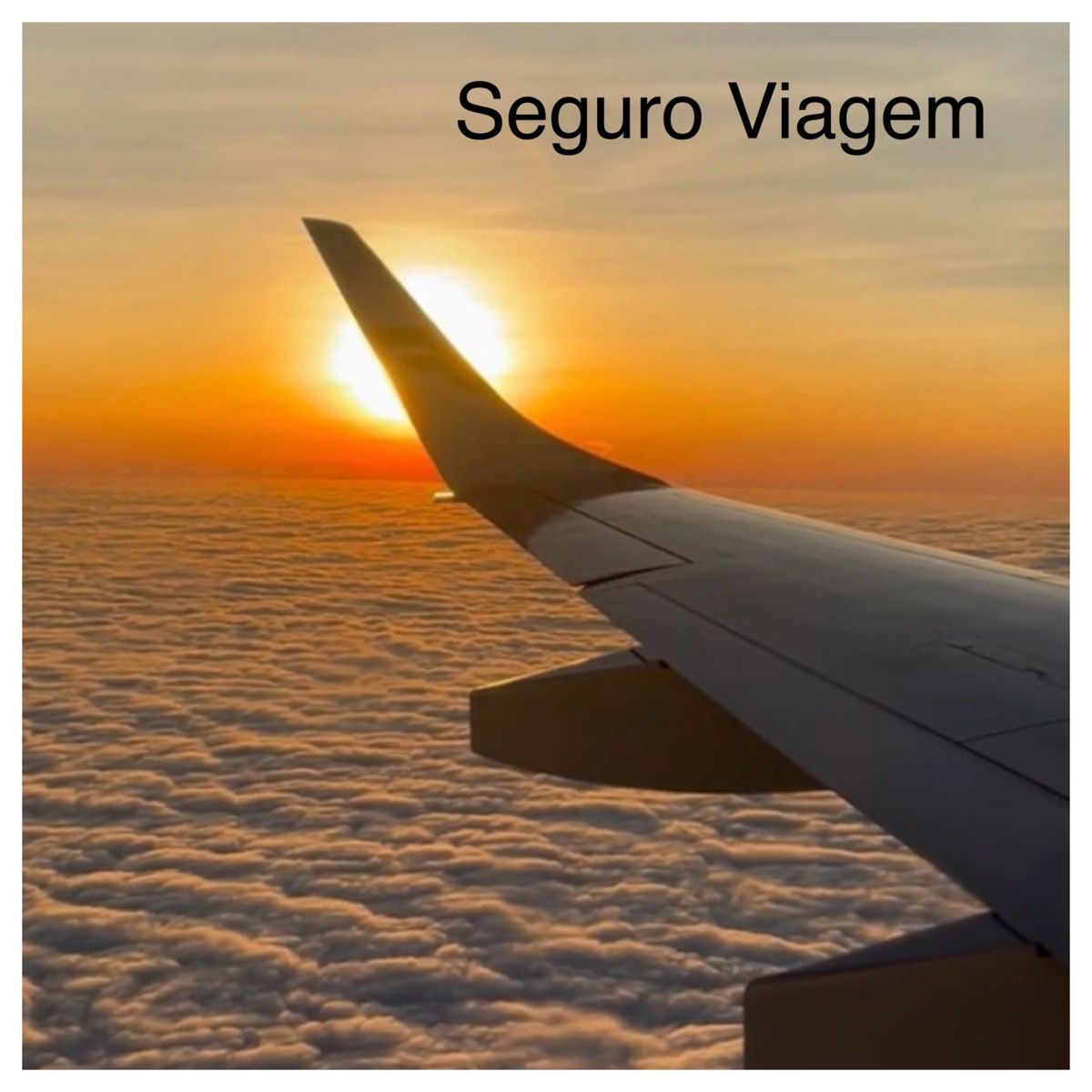 WhatsApp Image 2026-02-10 at 17.43.02 (3).jpeg